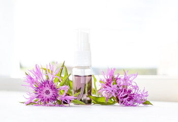 Liilac flowers of greater knapweed (Centaurea scabiosa) and essence or organic extract. Natural ingridients use for alternative medicine, healthy cosmetics concept.