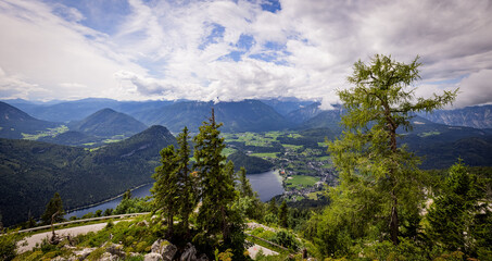 Fir trees on the mountains of the Austrian Alps - travel photography