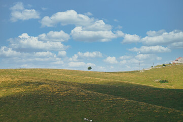 The regional natural park of Lessinia was established with the regional law n. 12, of 30 January...