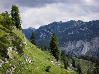 Fototapeta na wymiar Typical panoramic view in the Austrian Alps with mountains and fir trees - Mount Loser Altaussee - travel photography