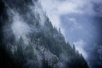 Deep clouds over the fir trees in the Austrian Alps - Vorarlberg region - travel photography