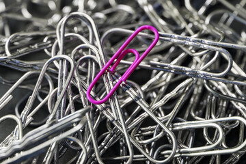 A pink paper clip stands out against a textured background of silver paper clips
