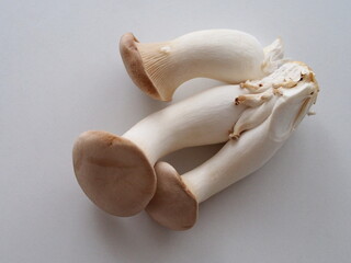 Fototapeta premium 白いテーブルに置かれたエリンギ