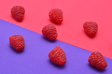 pink and purple colorful background with raspberries close-up