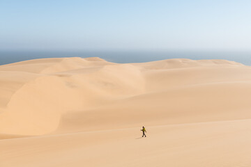 Fototapeta na wymiar Orange sand dunes and clear sky in Namib desert