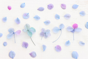 Fototapeta na wymiar Top view image of Hydrangea flowers composition over white wooden background .Flat lay