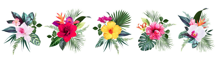 Exotic tropical flowers, orchid, strelitzia, hibiscus, bougainvillea, gloriosa, palm, monstera - obrazy, fototapety, plakaty