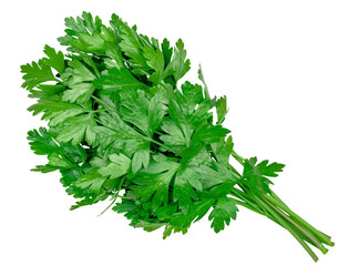 A bunch of fresh parsley isolated on a white background
