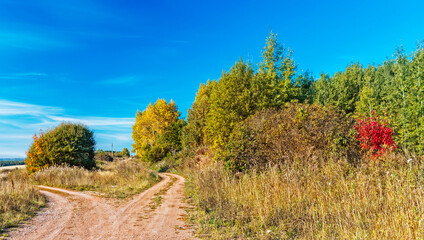 landscape with a dirt road in a field in an autumn day