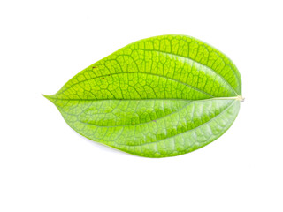 Fototapeta na wymiar pepper leaf on a white background