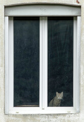 Obraz premium Chat à la fenêtre à Vuillafans, Doubs, France