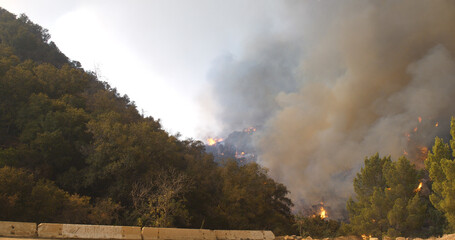 Fototapeta premium Woolsey Fire, Malibu California Post fire Burnt Mountains 