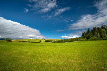 field and blue sky