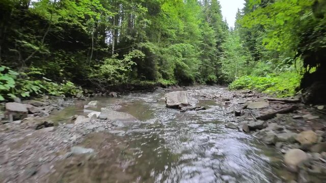 Smooth, rapid flight over a mountain river close to the water, among a dense forest. Mystical mountain landscape. Filmed on FPV drone.