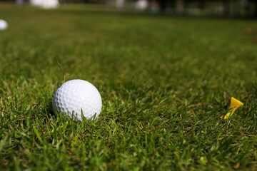 Golf ball on a green grass background