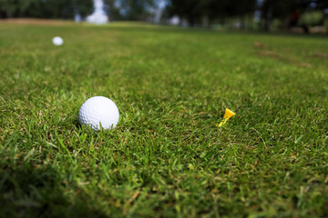 Golf ball on a green grass background