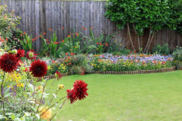 flowers in a garden