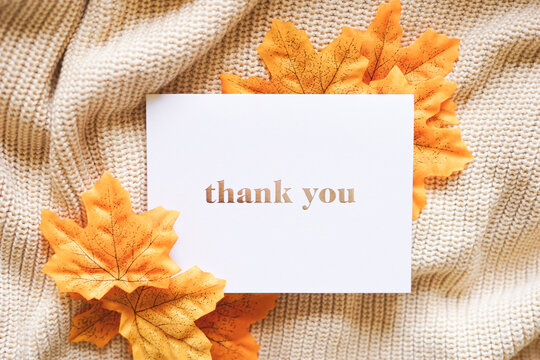 Thank you card on beige knit with autumn leaves. Cozy autumn & fall composition with yellow maple leaves. Special thank you note.	