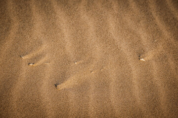 Fototapeta na wymiar Patterns cast across the sand by pebbles and wind