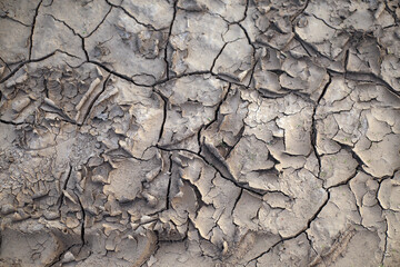 parched soil