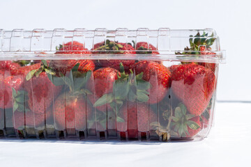 Clear plastic containers of fresh red, ripe strawberries with the stems still on them. The packages...