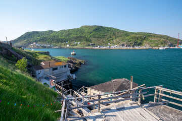 A view of St. John's Harbour with a boat basin at the base of a hill covered in green trees. There...