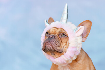 French Bulldog dog wearing funny unicorn costume headband in front of blue background with copy space