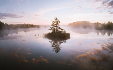 A tree on the small island on the lake shot at the early morning