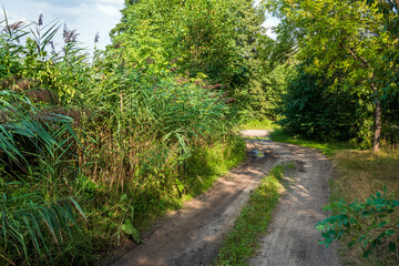 Dirt road landscape