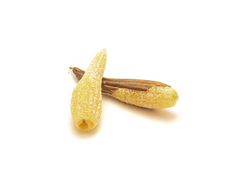 Homemade peeled and unpeeled luffa sponges isolated on white