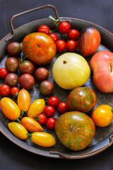 Tomatoes of different varieties and sizes on a dark background.