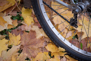 Fototapeta na wymiar Mountain bike in the autumn park. Around the yellow autumn leaves.