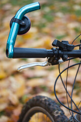 Mountain bike in the autumn park. Around the yellow autumn leaves.