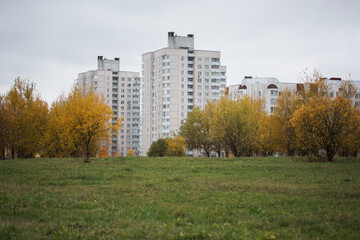 Autumn trees with yellow leaves in the city park. Autumn landscape.