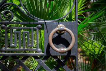 Naklejka premium Round handle on a metal gate entryway. Tropical saw palmetto plants in the background.