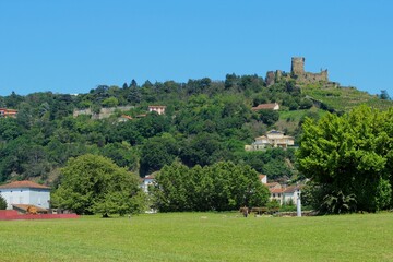 Fototapeta na wymiar Beautiful European city of Vienne in France, a French town with Gallo-Roman past and a popular tourist destination. Urban landscape with a green hill with winery and castle ruin, a lawn and blue sky.