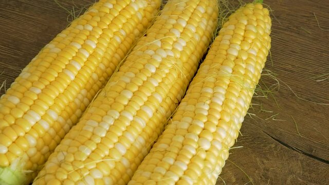 fresh corn cobs close-up. Food background