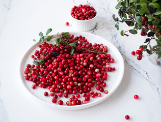 fresh forest lingonberries