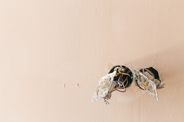 replacement of light switches after repair. The wall is covered with beige plaster. place for text.