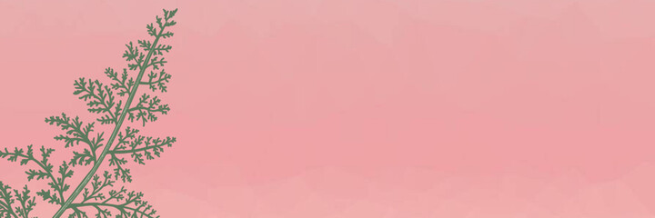 Obraz na płótnie Canvas pink background