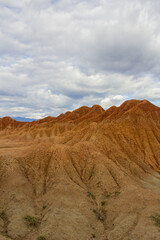Fototapeta na wymiar red dunes in the desert