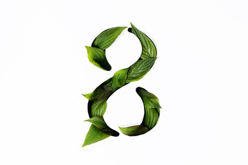 the number eight is cut out in white paper and filled with green leaves. silhouette number 8 with...