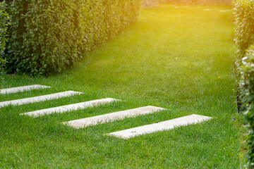 Green lawn and road surface from paving slabs in backyard. Strip line concrete pavement and green...