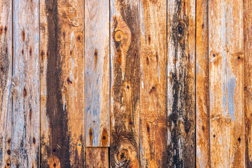 Old scratched wooden background with pieces of old paint and screws nails. Rustic obsolete boards of wall, door or floor. Selective focus