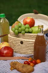 picnic on striped blanket at summer park apples pears grapes tomatoes cookies drinks 