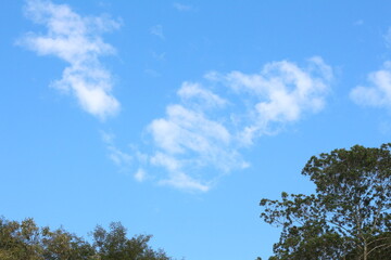 Céu de nuvens