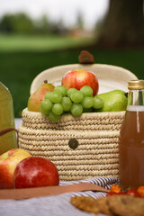 picnic on striped blanket at summer park apples pears grapes tomatoes cookies drinks 