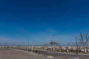 Epecuen Ruins