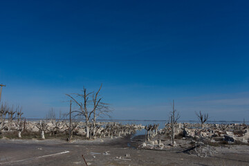 Obraz premium Epecuen Ruins