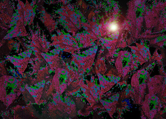 abstract patches of Red and green leaves illuminated background  textured